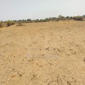 Verger De 9882 M2 Vers Tataguine