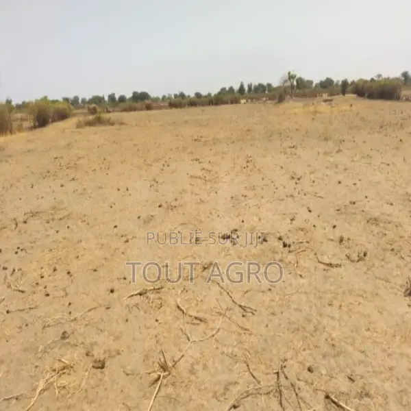 Verger De 9882 M2 Vers Tataguine