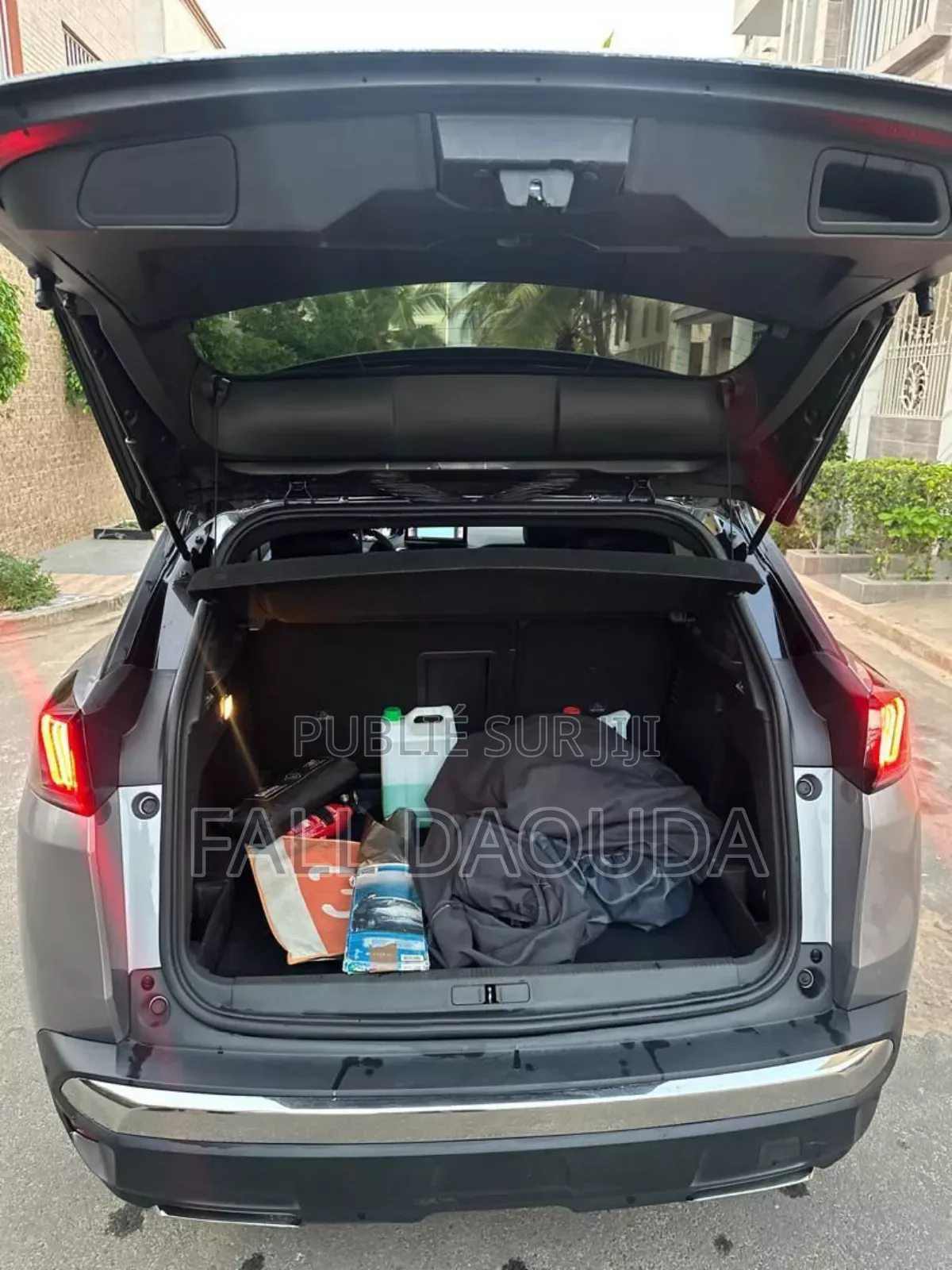 PEUGEOT 3008 2024 Autre