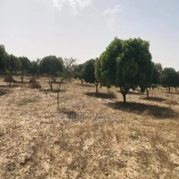 Verger Fruitier 1,28 Hectare Vers Koul