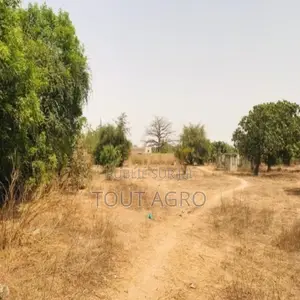 Photo - Verger Fruitier De 2,25 Hectares Vers Notto Diobass