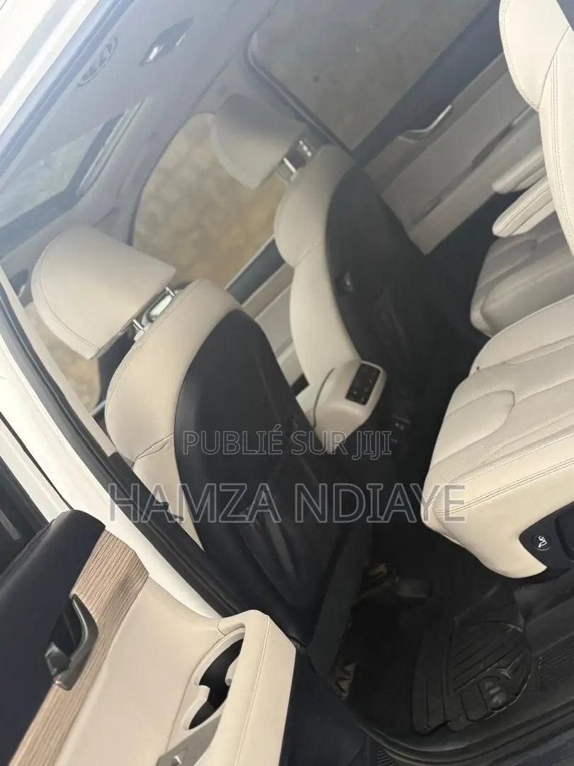 Hyundai Palissade 2021 Blanc