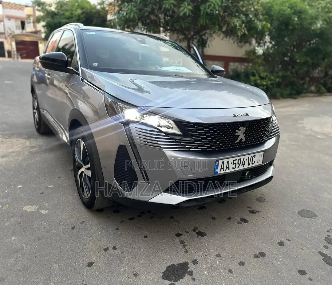PEUGEOT 3008 2024 Gris