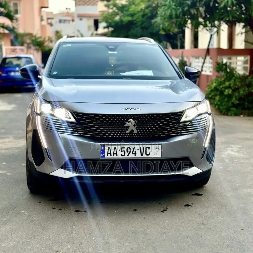 PEUGEOT 3008 2024 Gris