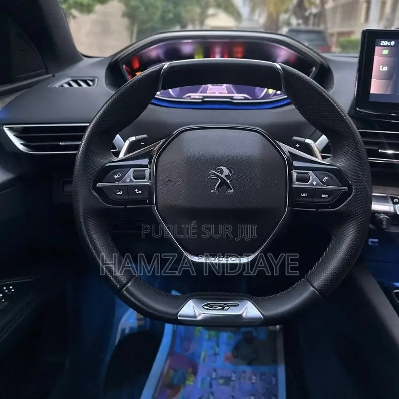 PEUGEOT 3008 2024 Gris