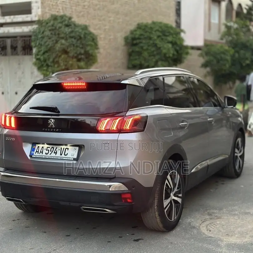 PEUGEOT 3008 2024 Gris