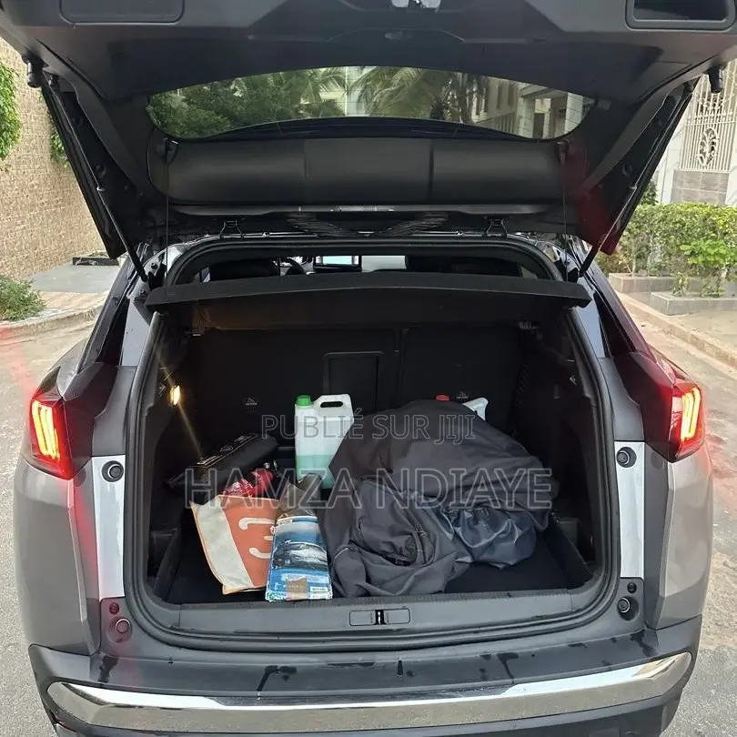 PEUGEOT 3008 2024 Gris