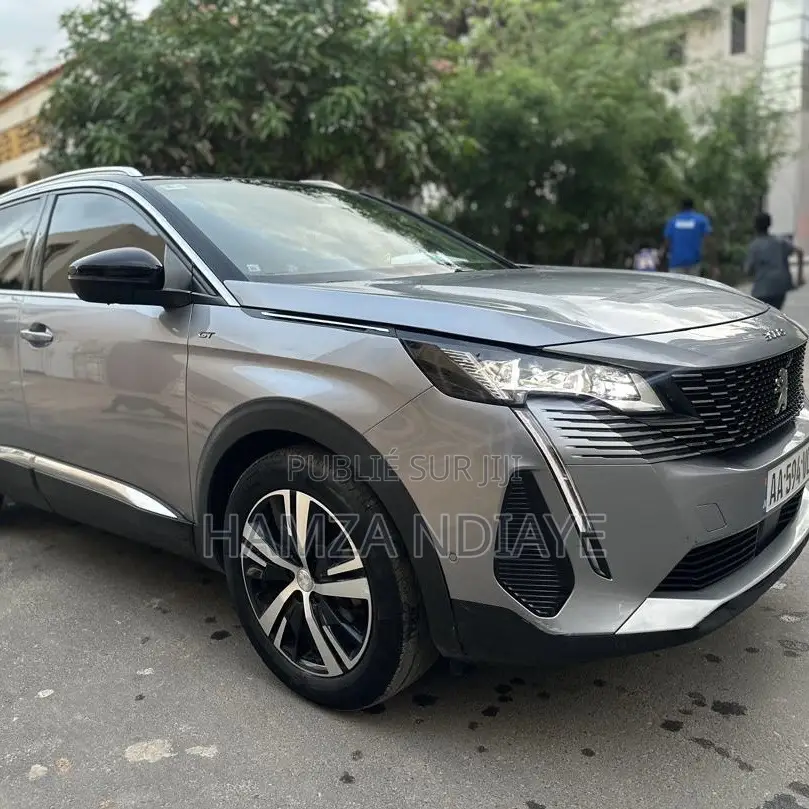PEUGEOT 3008 2024 Gris
