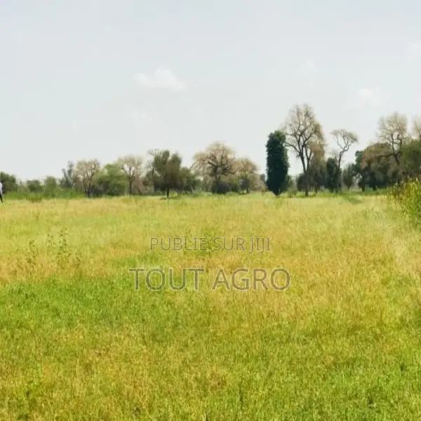 Verger Fruitier De 2860 M2 Vers Baba Garage