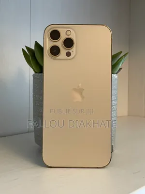 Photo - New Apple iPhone 12 Pro Max 256 GB Doré