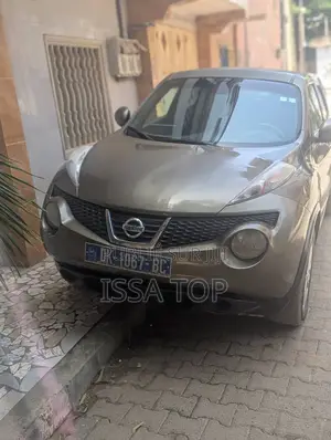 Photo - Nissan Juke 2011 Gris