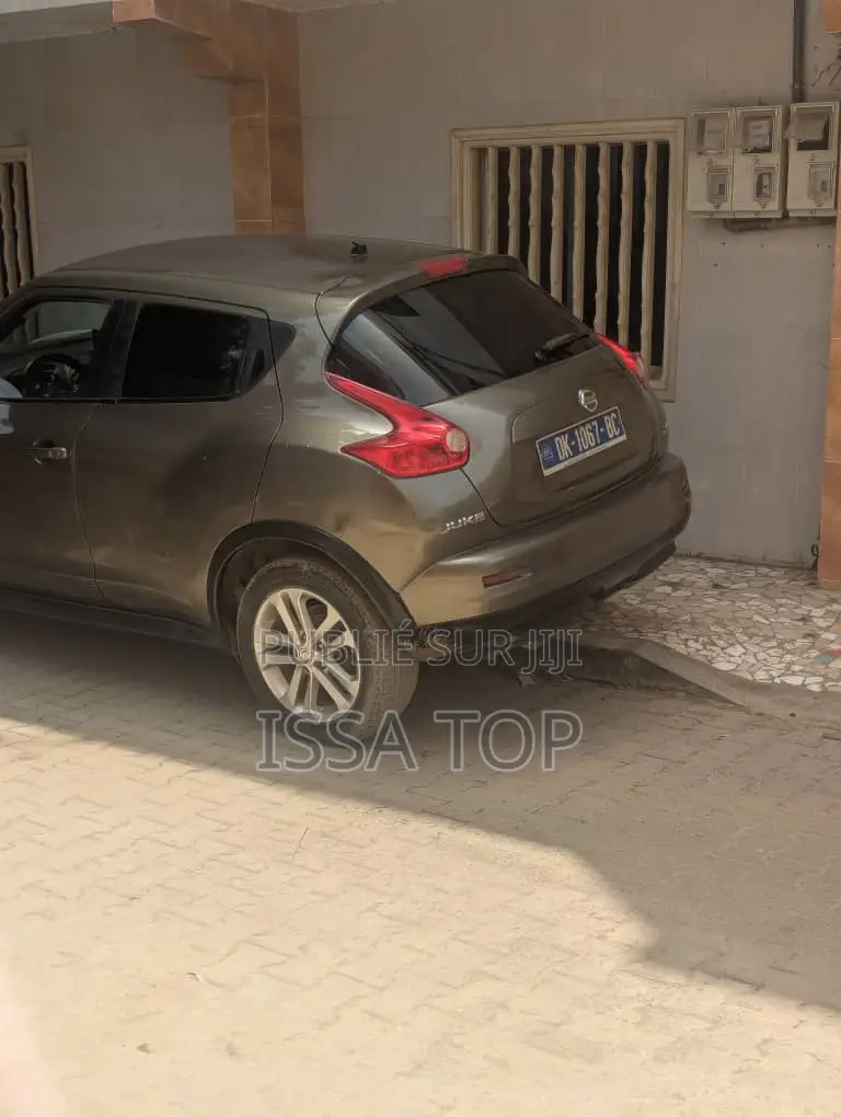 Nissan Juke 2011 Gris