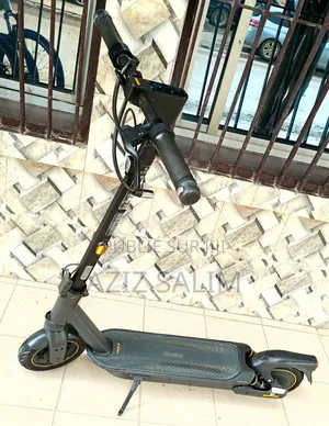 Photo - Trottinette Electrique Ninebot Max 2