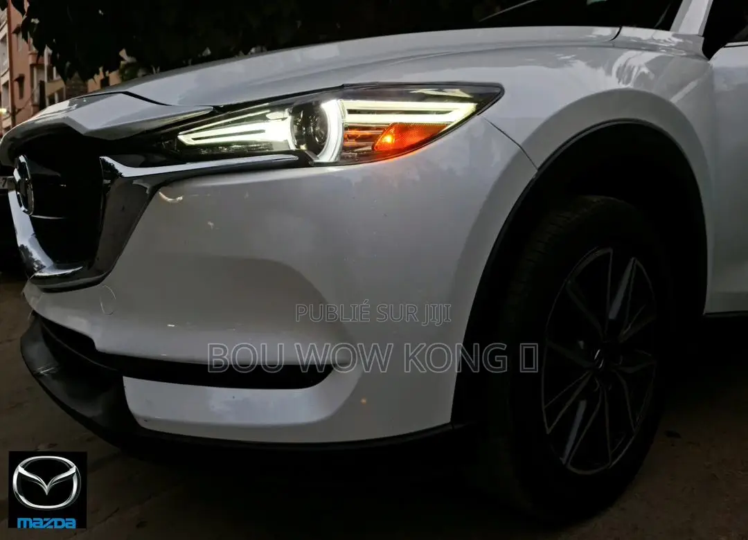 Chauffeur Et Transfert