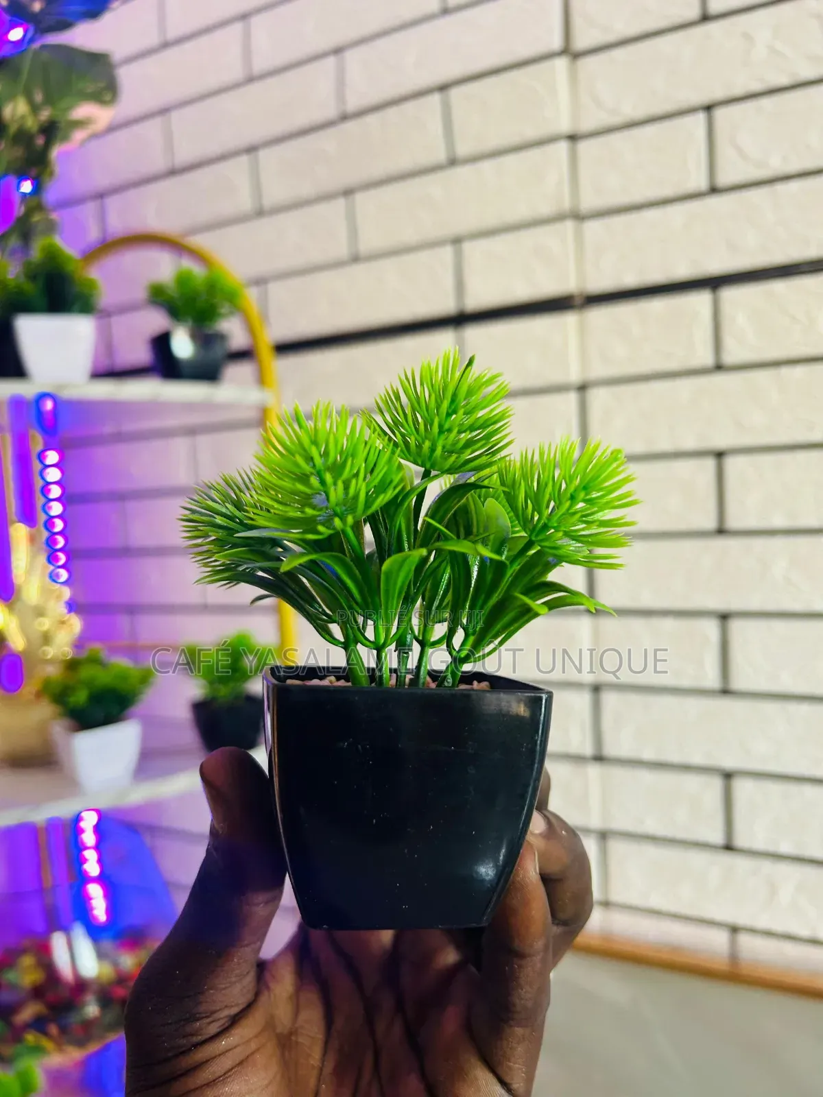 Décoration Intérieure