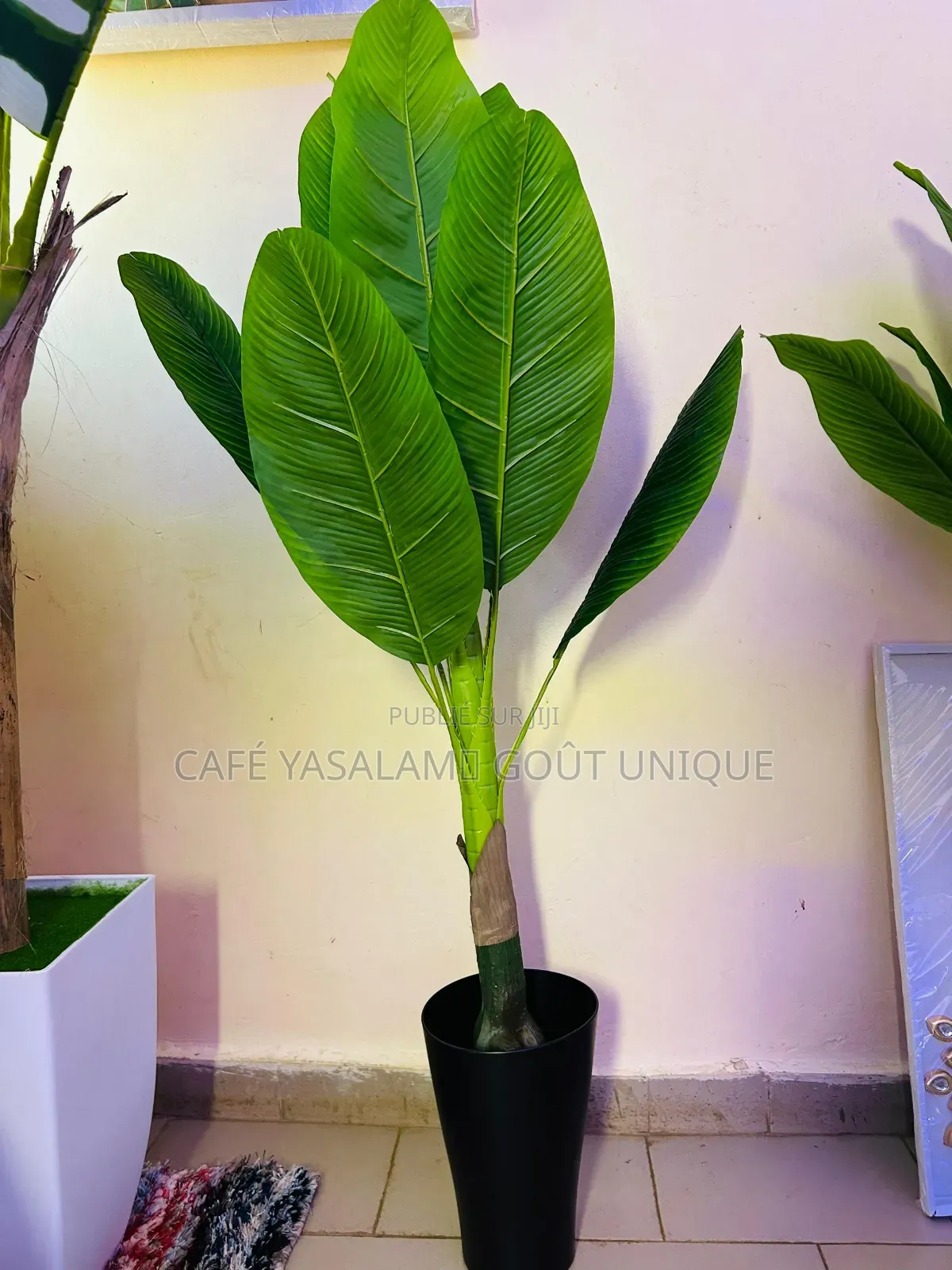 Décoration Intérieure