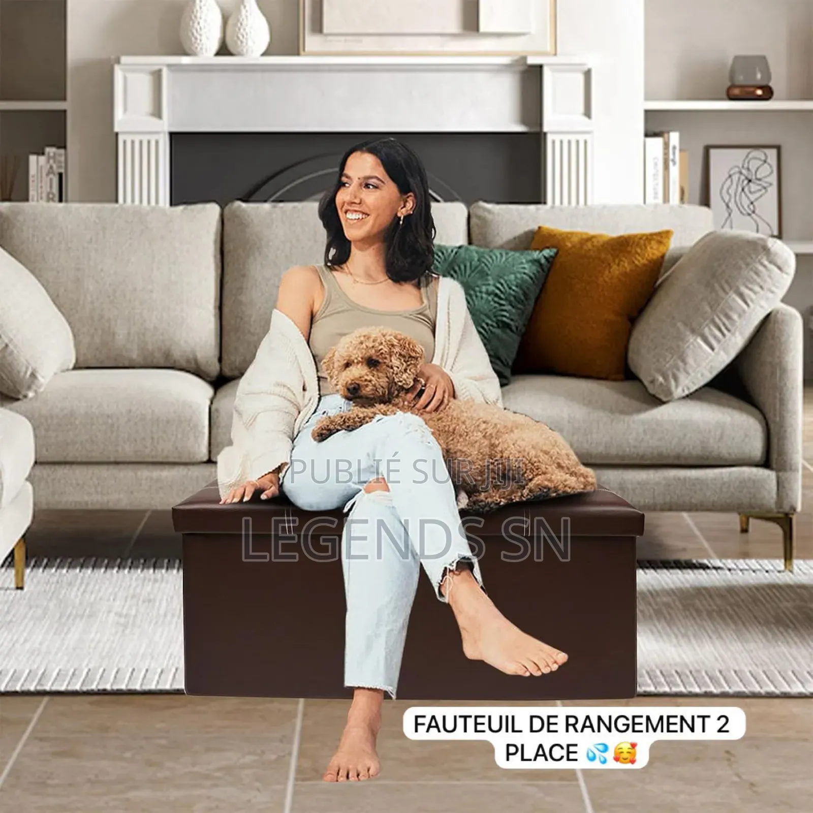 Pouf De Rangement 2 Place Multifonctions