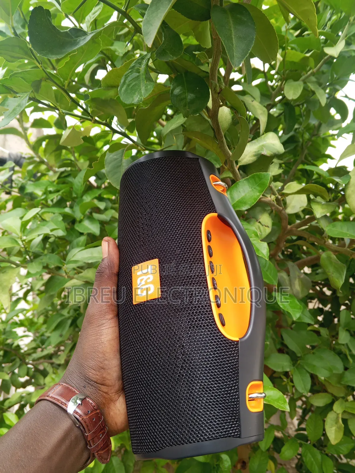 Haut-Parleur Hoofer Bluetooth Tg-437