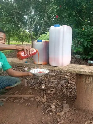 20l Huile De Palme Et Jus De Citron Bio 100% Casamance