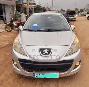 Photo - Peugeot 207 2010 Gris