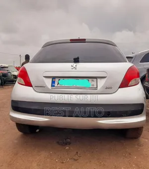 Peugeot 207 2010 Gris