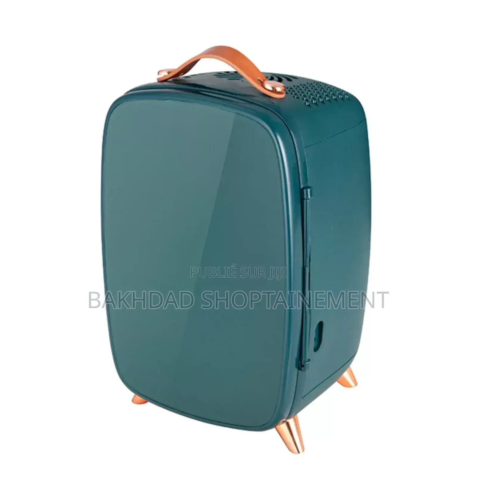 Mini Réfrigérateur Compact