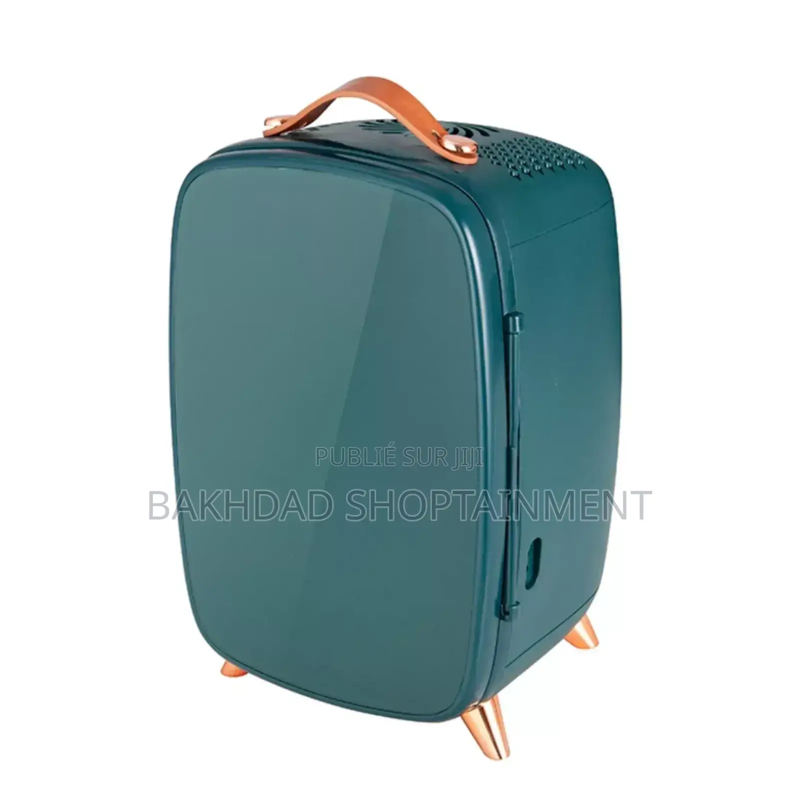 Mini Réfrigérateur Compact