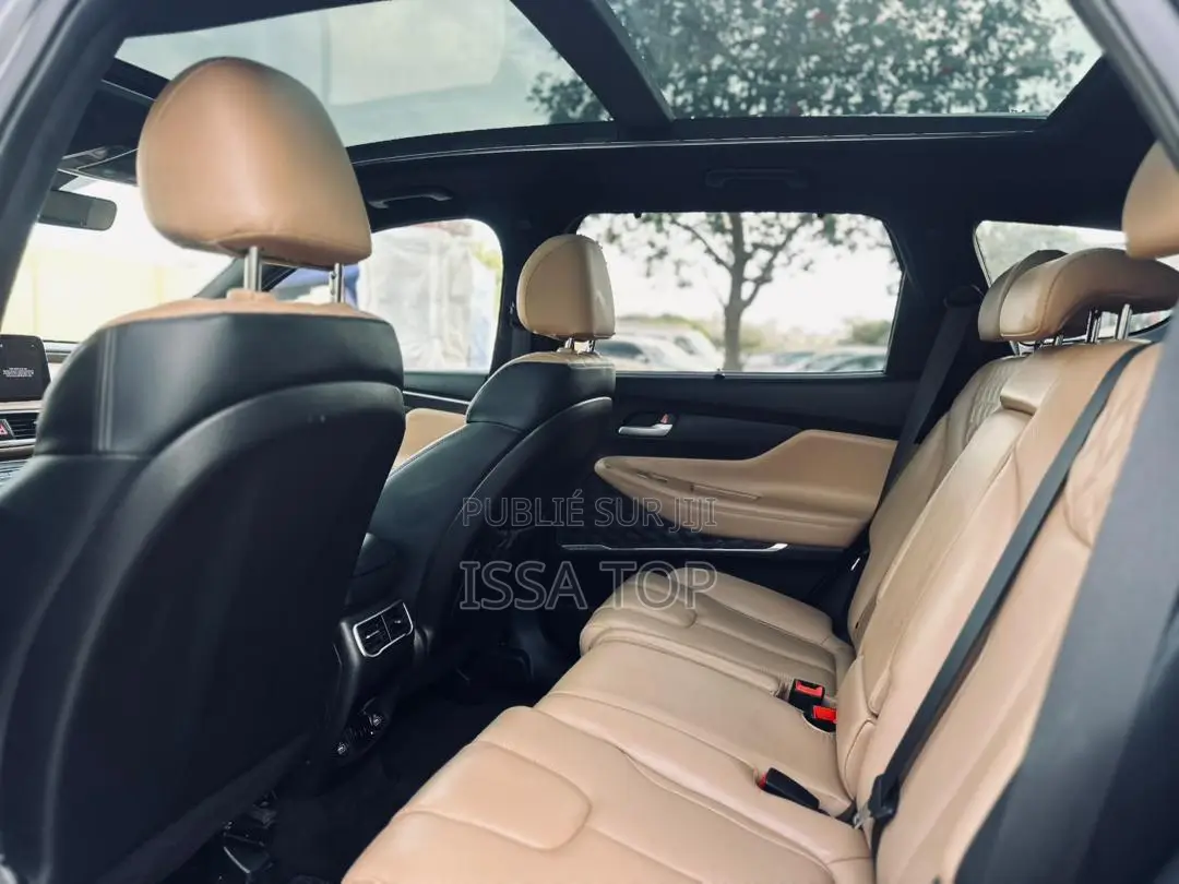 Hyundai Santa Fe 2023 Gris