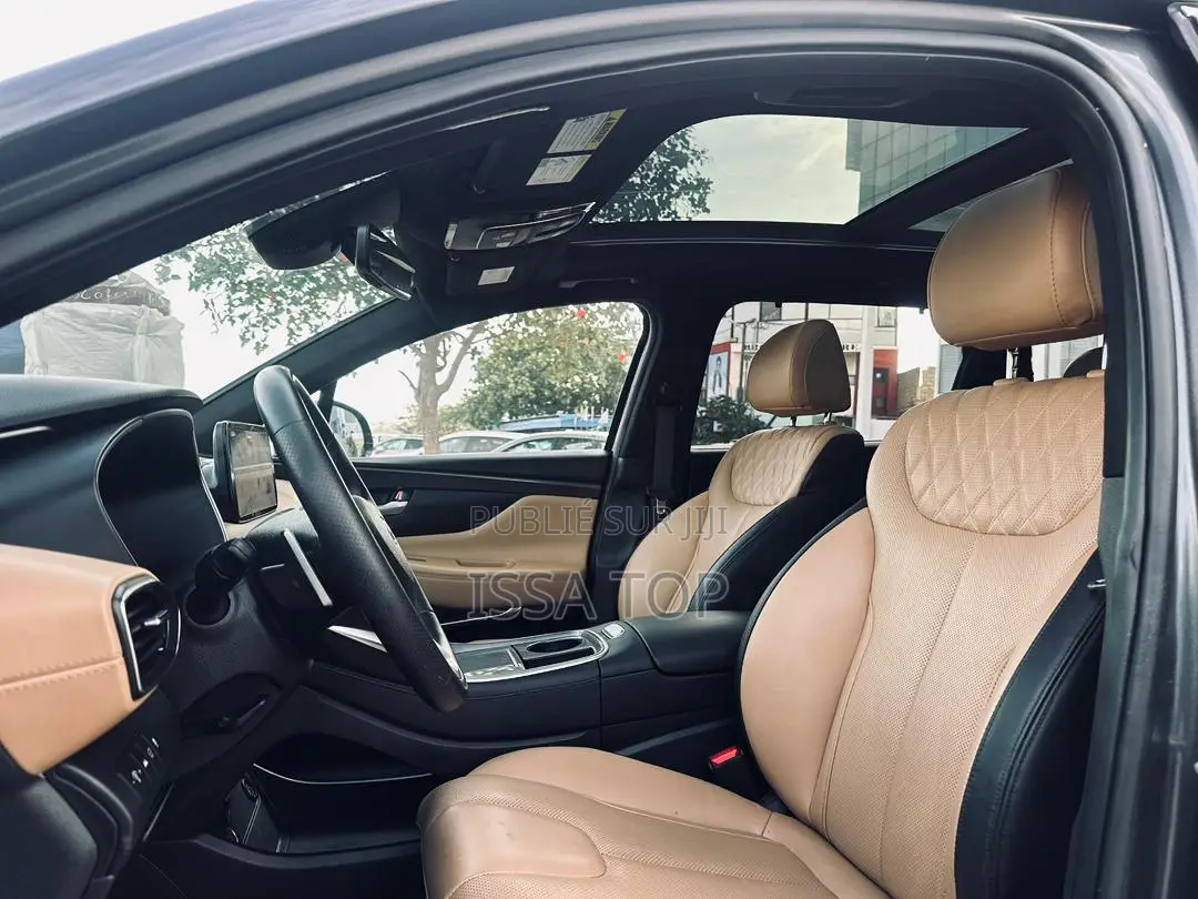 Hyundai Santa Fe 2023 Gris