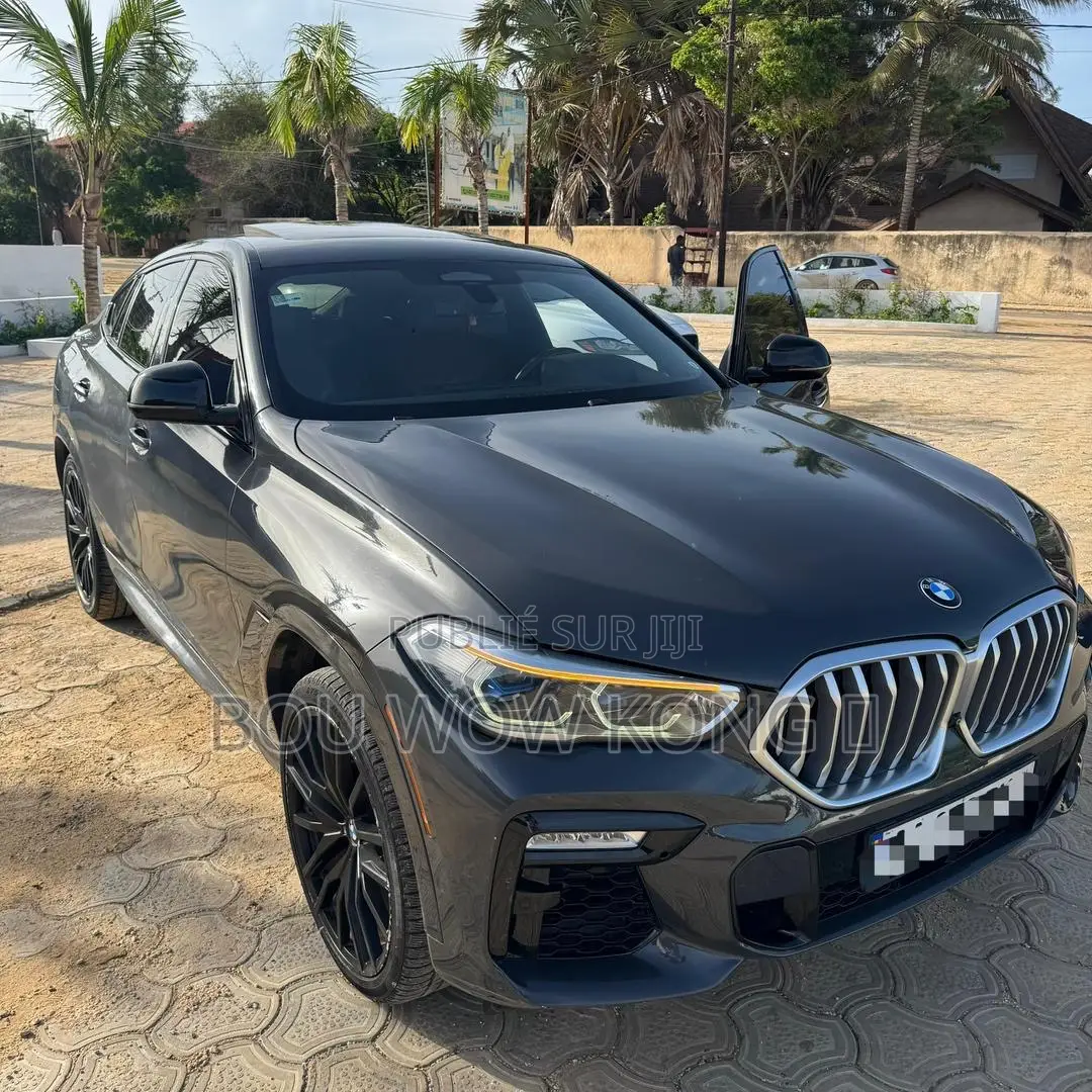 BMW X6 xDrive40i AWD 2020 Gris
