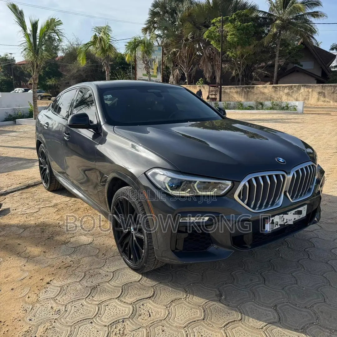 BMW X6 xDrive40i AWD 2020 Gris