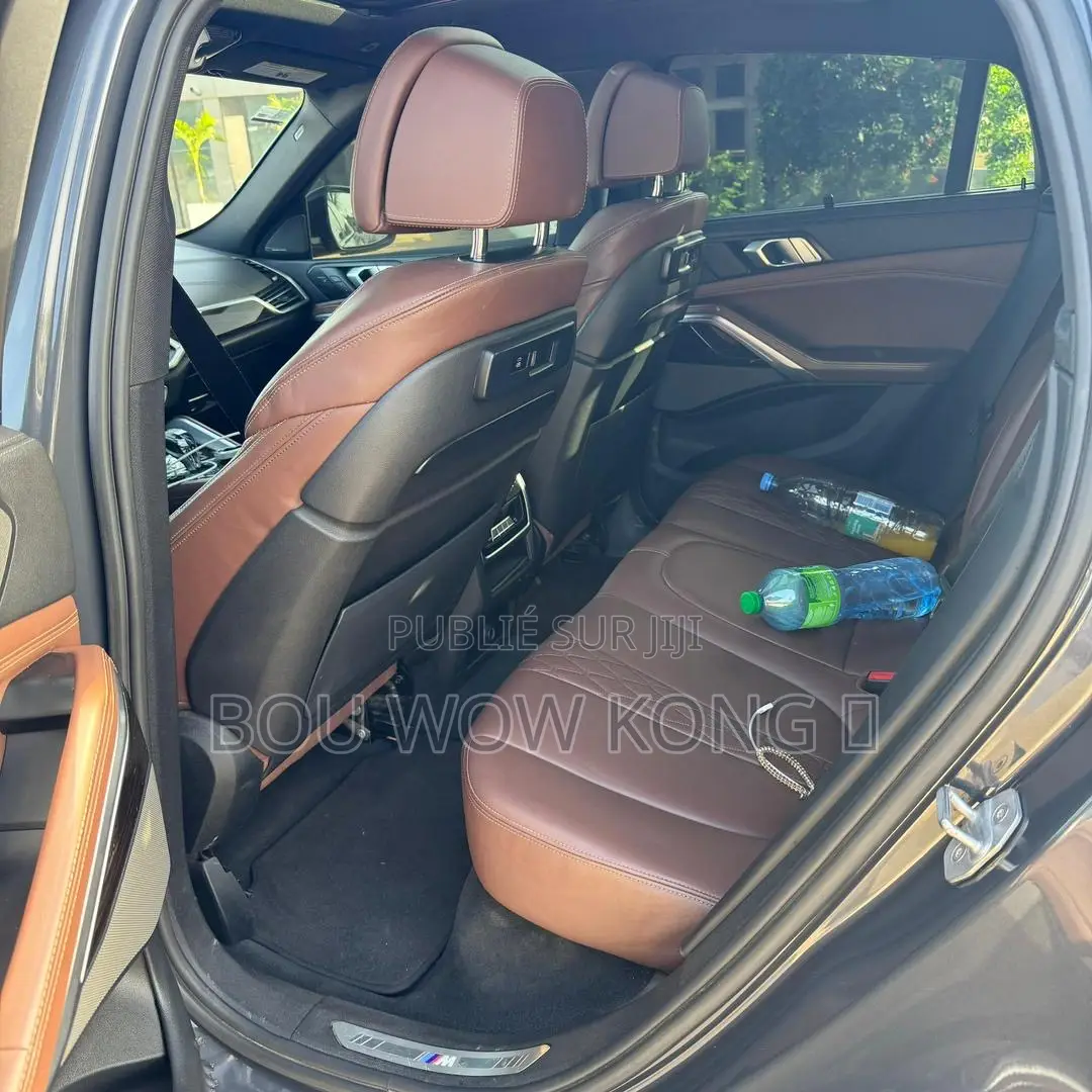 BMW X6 xDrive40i AWD 2020 Gris