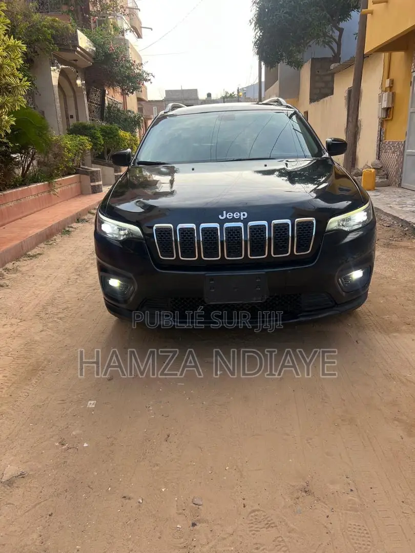Jeep Cherokee 2019 Noir Mat