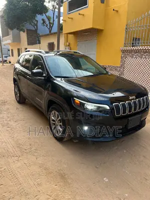 Jeep Cherokee 2019 Noir Mat