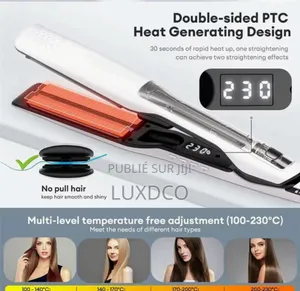 Fer À Lisser Professionnel À Vapeur