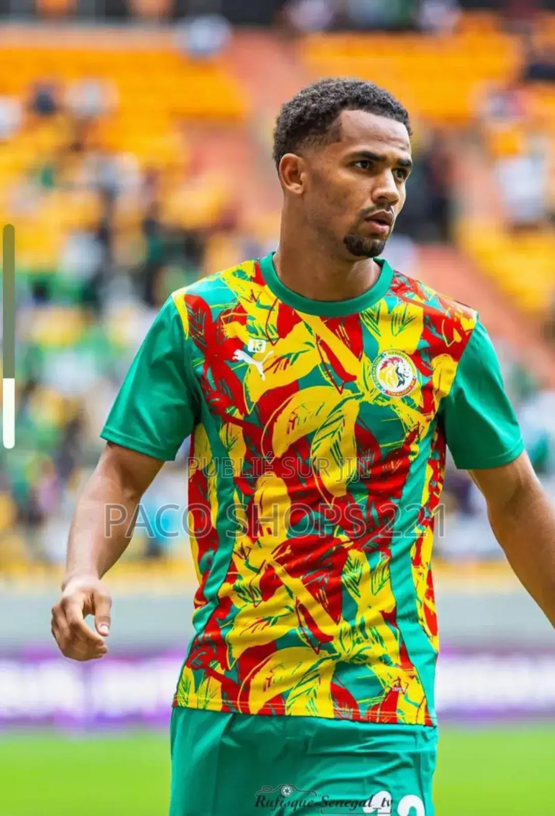Maillot Énergie Lion Original