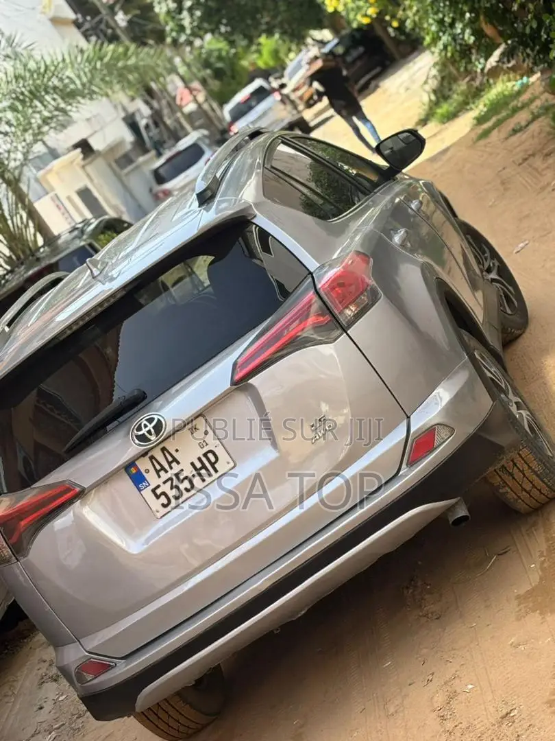 Toyota RAV4 2017 Gris