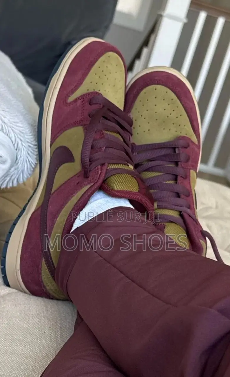 Chaussures Nike Sb Pro Skate