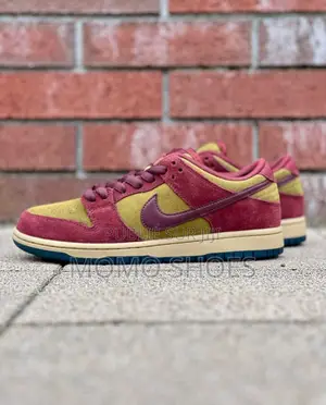 Chaussures Nike Sb Pro Skate