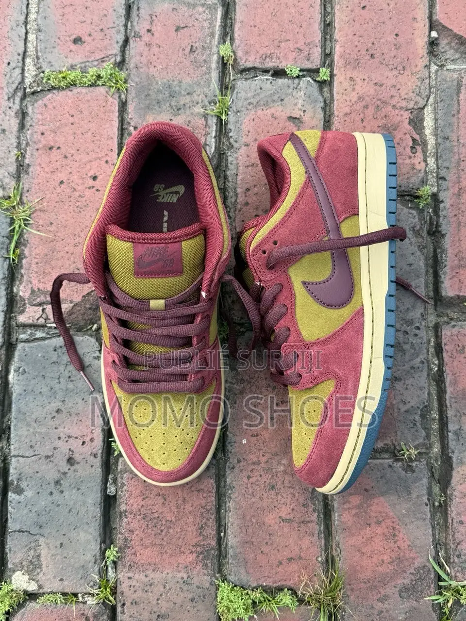 Chaussures Nike Sb Pro Skate