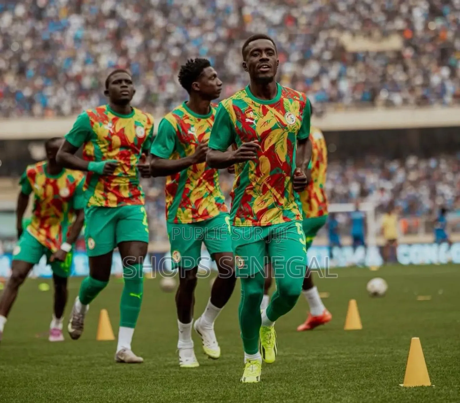 Maillot Énergie Lion Original