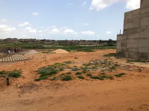 Photo - Excellent Terrain Angle De 161m2 À Vendre Sis À Tivaoune Peulh