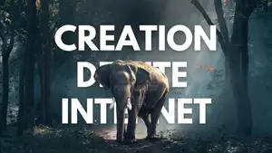 Photo - Creation De Site Internet