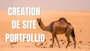 Photo - Creation De Site Internet