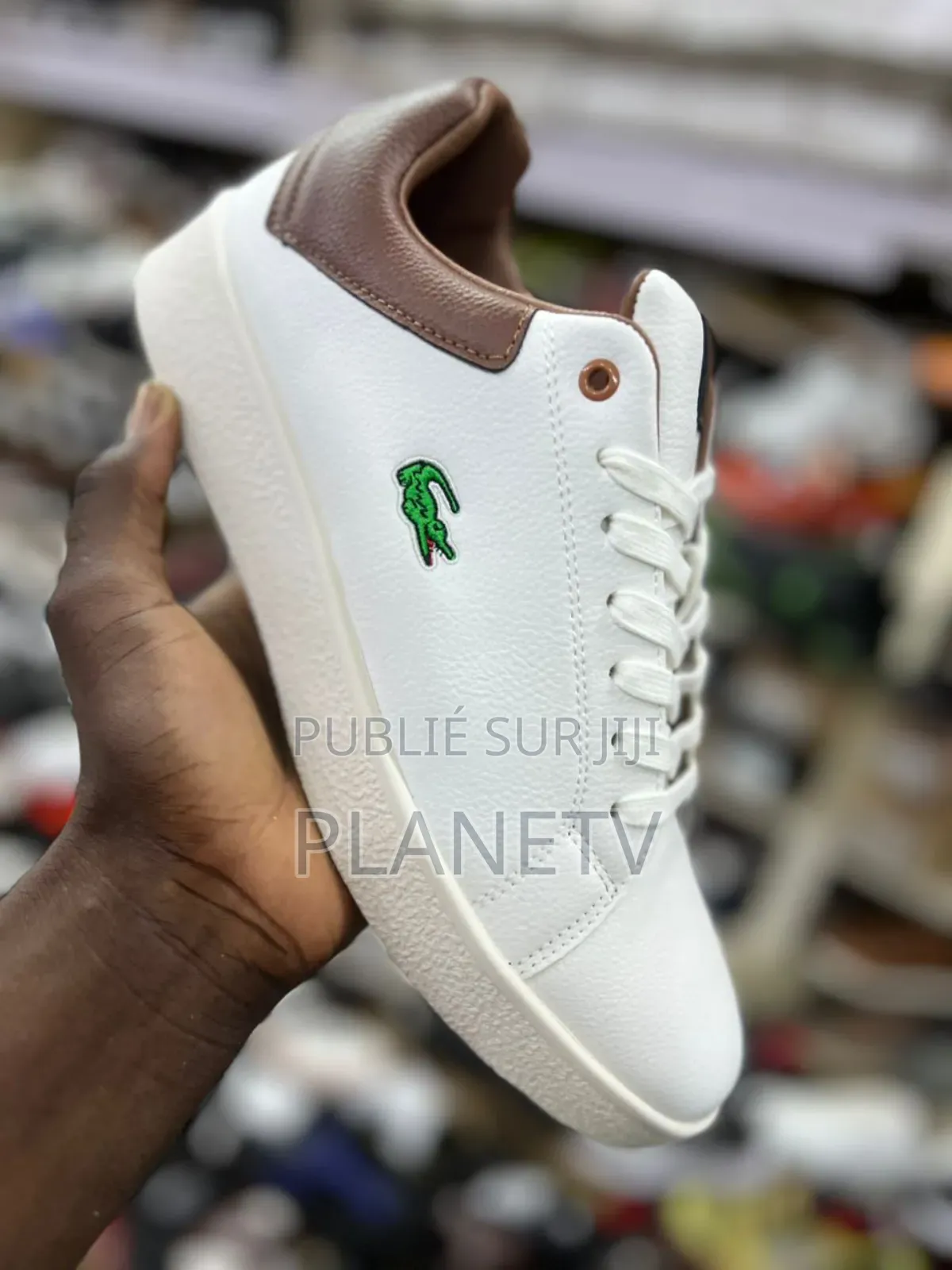 Lacoste 3 Couleur by GNF