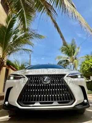 Photo - Lexus NX 2023 Blanc