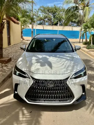 Lexus NX 2023 Blanc