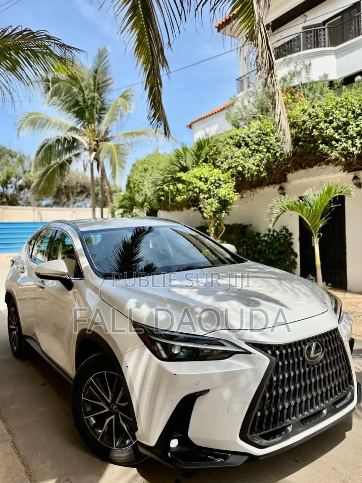 Lexus NX 2023 Blanc