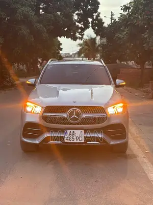 Mercedes-Benz GLE-Class GLE 350 2020 Gris