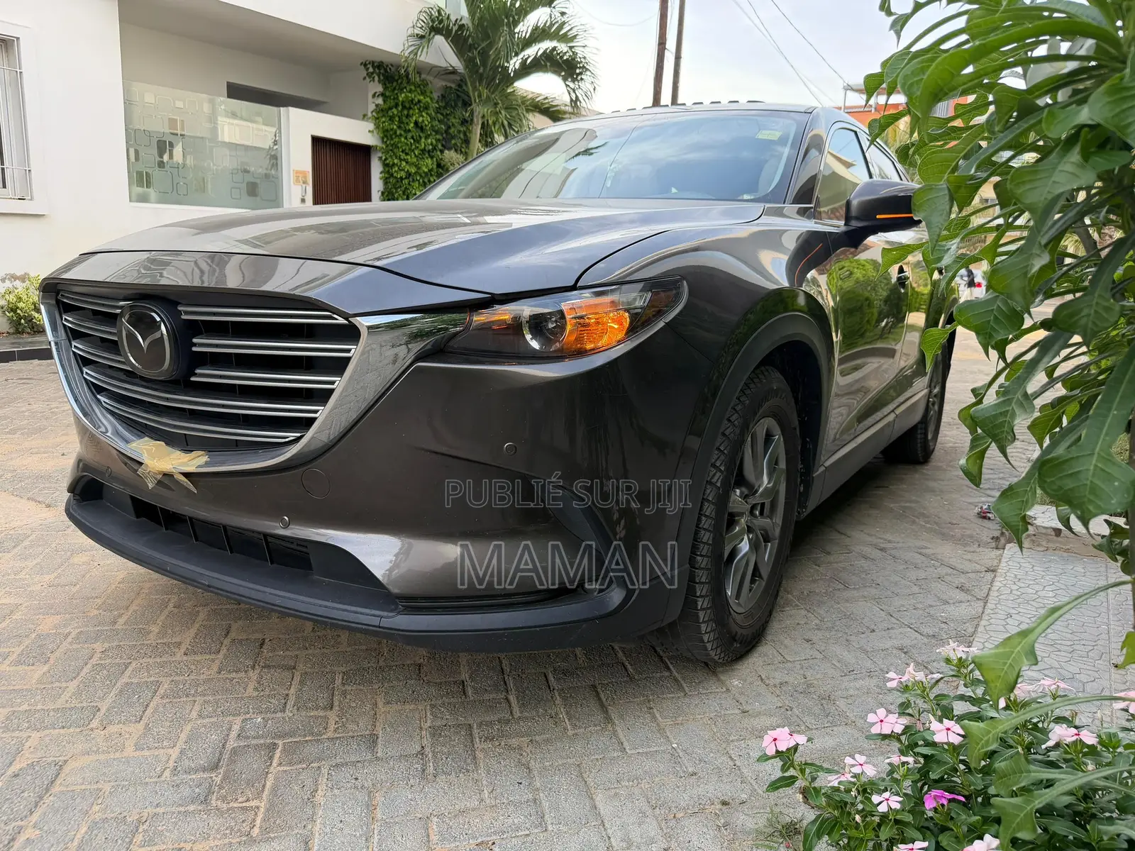 Mazda CX-9 2019 Marron